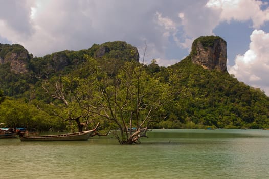 Rocks,Lonely,Flood,Tree,Water Level