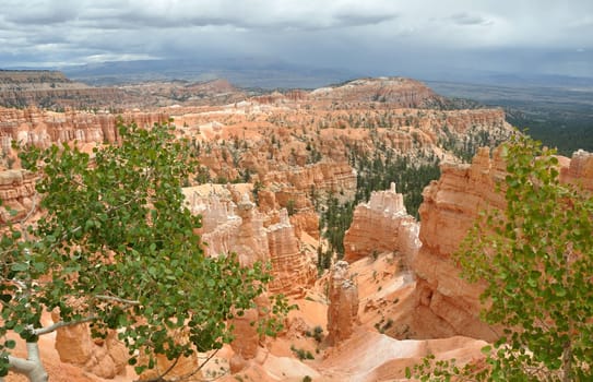 Bryce Canyon during Summer Storm