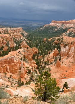 Bryce Canyon during Summer Storm