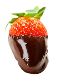 Strawberry dipped in chocolate