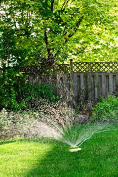 Lawn sprinkler watering grass
