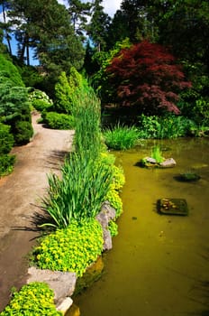 Landscaped garden path and pond