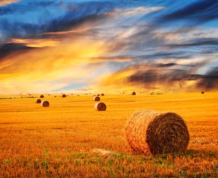 Golden sunset over farm field