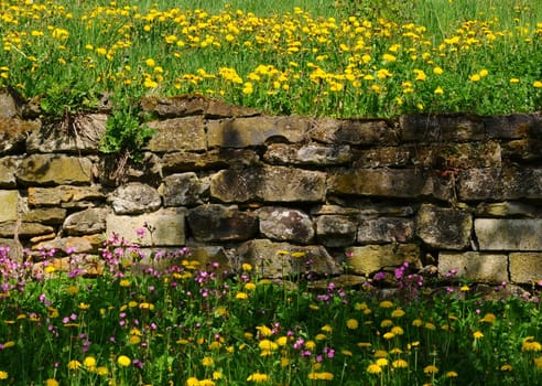 spring