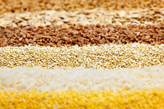 Various grains close up