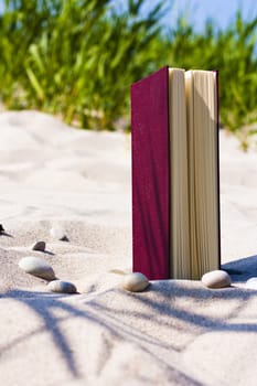 reading or (read without mushrooms without off without in)