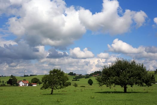 Meadow orchard in Frauenzell Oberallgäu