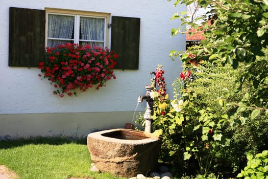 Swivel pump and trough in the garden