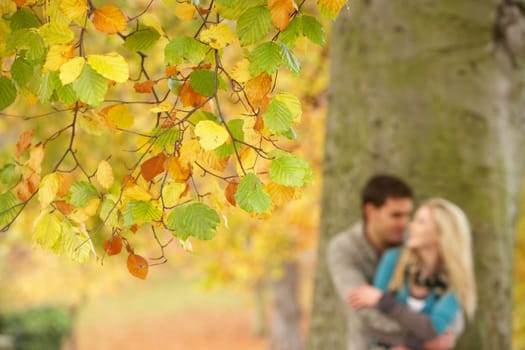 Shallow Focus View Of Romantic Teenage Couple By Tree In Autumn Park