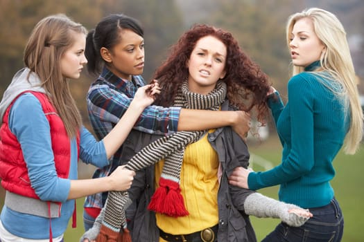 Group Of Female Teenagers Bullying Girl
