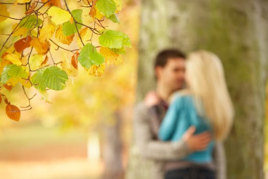 Shallow Focus View Of Romantic Teenage Couple By Tree In Autumn Park