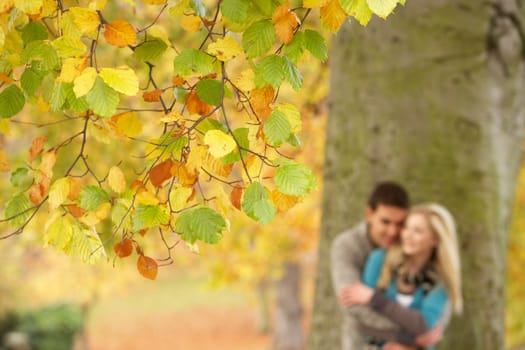 Shallow Focus View Of Romantic Teenage Couple By Tree In Autumn Park