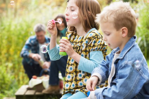 Two Young Children Blowing Bubbles On Countryside Picnic
