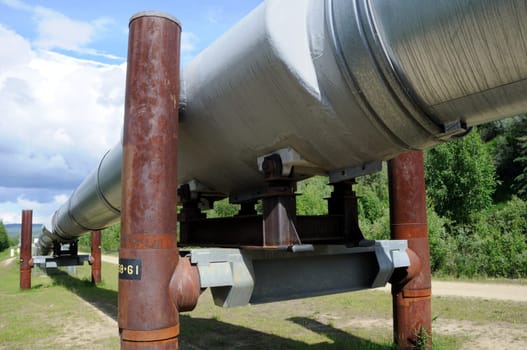 Trans Alaska Oil Pipeline