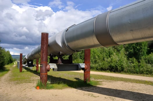 Trans Alaska Oil Pipeline