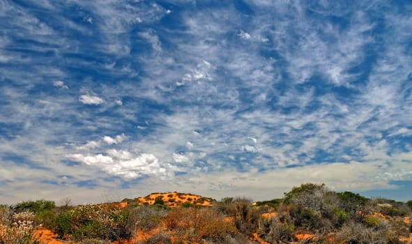 Clouded sky