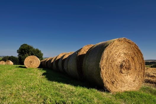 Bale of hay
