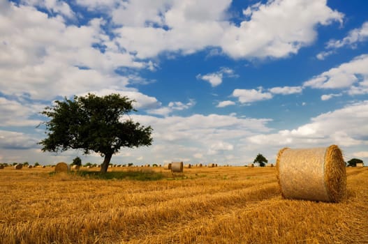 Straw bales
