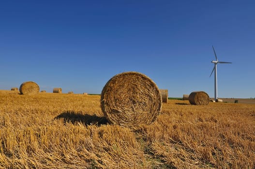 Straw bales