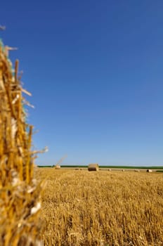 Straw bales