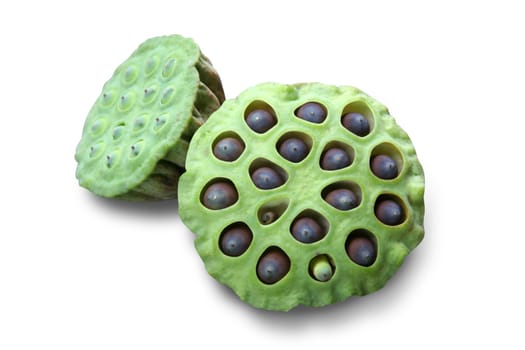 Lotus seed pods - Chinese medicine