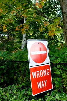 Wrong Way sign in middle of woods, Muskoka, Ontario, Canada