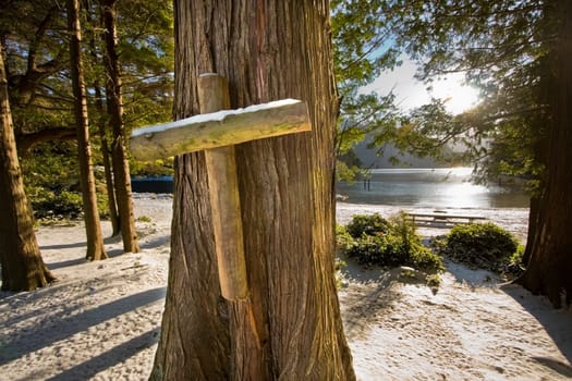 Wooden cross on a tree