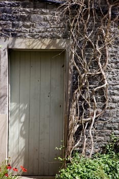 Shed door