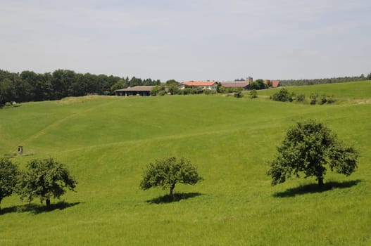 Meadow with farm