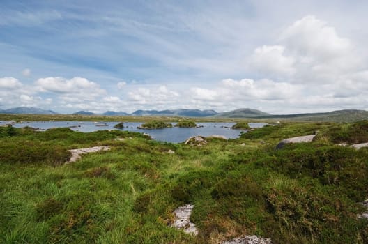 Grassy fields and lake