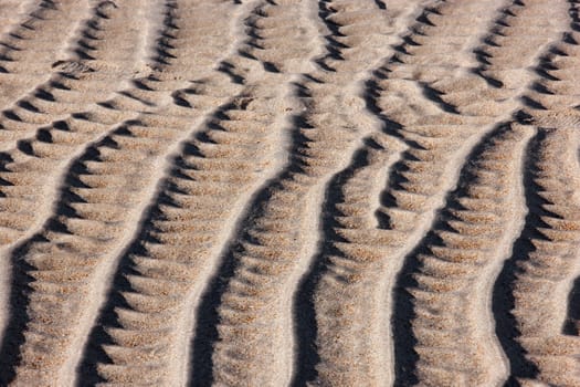Ripples in the sand