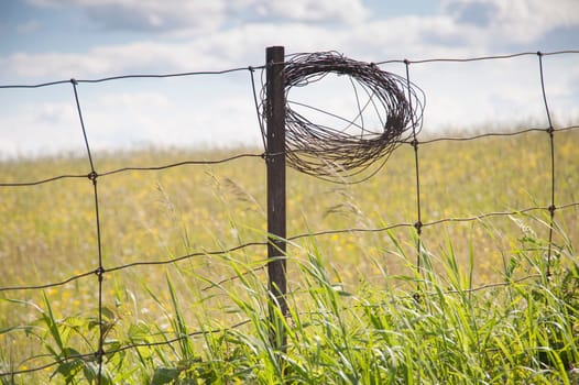 Role of wire on fence post