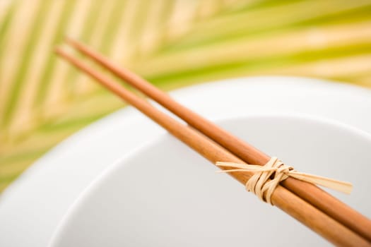 Chopsticks lying across an empty bowl on top of a plate. The dishes are white, and there is a palm frond in the background. Horizontal format.