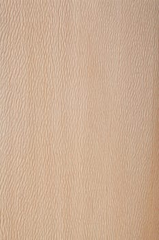 Plane tree - european plane wood