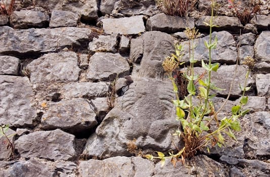 Sheila-na-gig, Augustinian Friary, Fethard, Co Tipperary, Ireland