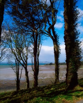 Strangford Lough, Mount Stewart, Co Down, Ireland