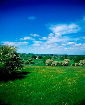 Pastoral, Co Kildare, Ireland