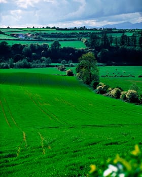 Farmscape, Ireland