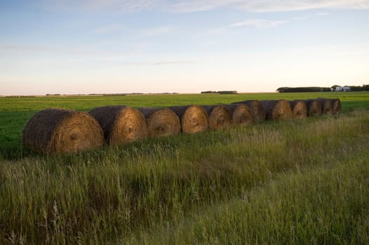 Hay bales, Manitoba, Canada