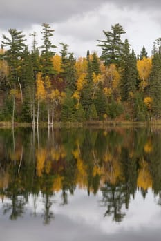 Fall foliage, Lake of the Woods, Ontario, Canada