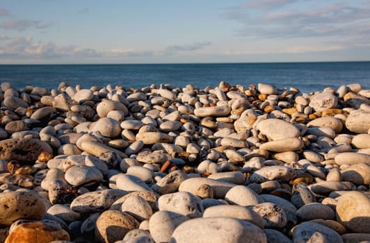 Rocky shore