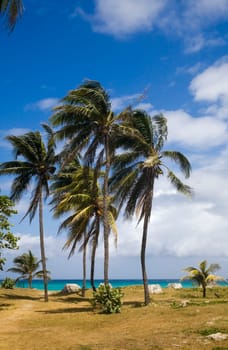 Varadero Beach, Varadero, Cuba