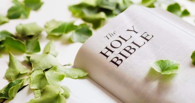 The Bible among leaves