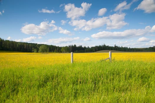 Rural fence in prairies, Manitoba, Canada
