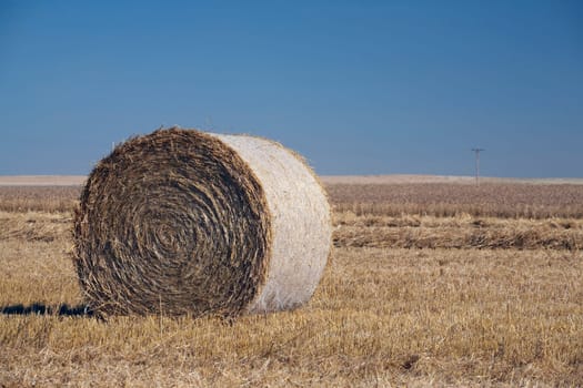 Hay bale in cut field, Alberta, Canada