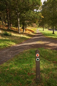 Walking trial through a park area