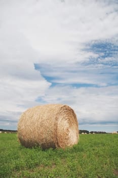 alberta, canada  a hay bale in a green field