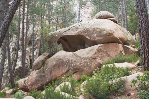 corsica, france  rock formation in the forest