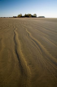 chesterman beach, tofino, canada