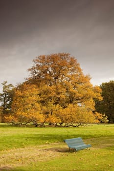 kelso, scottish borders, scotland bench in the park in autumn